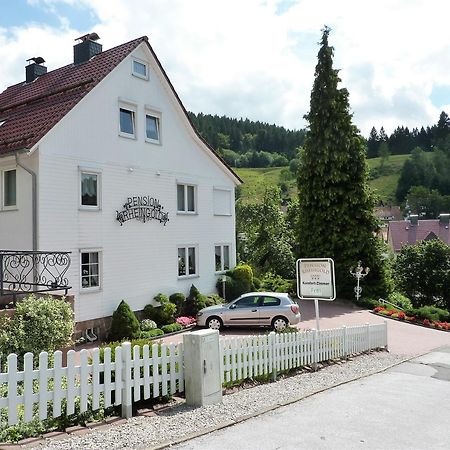 Pension Rheingold Garni Bad Grund Eksteriør billede