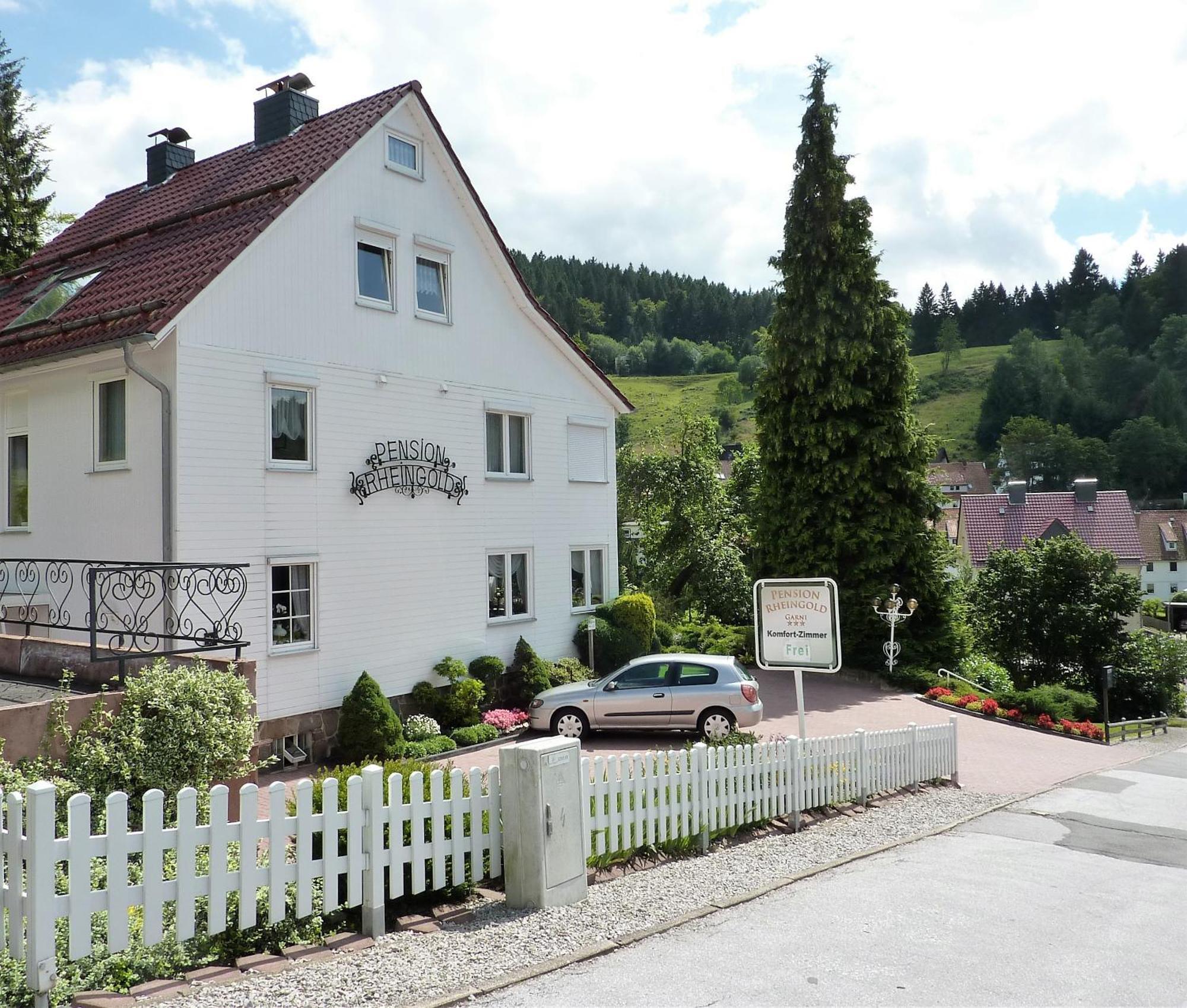 Pension Rheingold Garni Bad Grund Eksteriør billede
